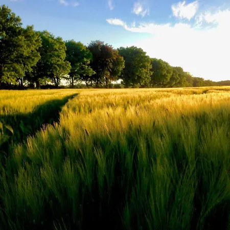 Neu! Schwalbennest Naehe Plauer Διαμέρισμα *