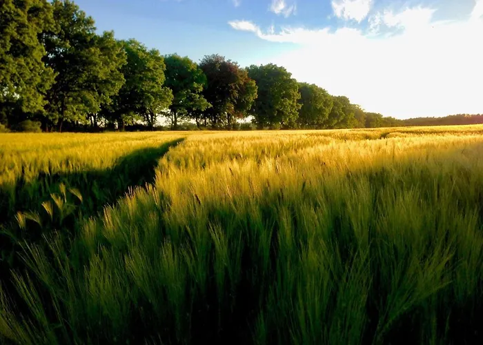 Neu! Schwalbennest Naehe Plauer Lejlighed *